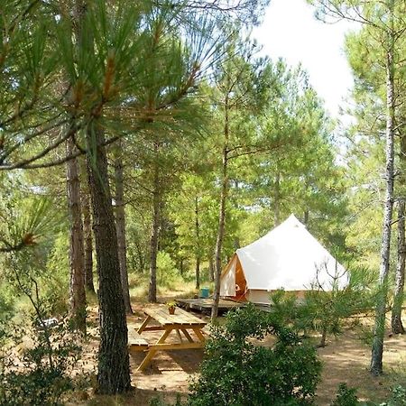 Forest Days Navés Εξωτερικό φωτογραφία