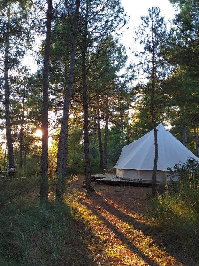 Forest Days Navés Εξωτερικό φωτογραφία