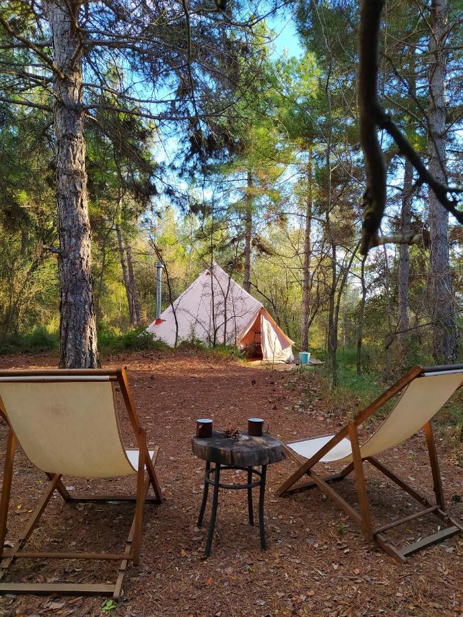 Forest Days Navés Εξωτερικό φωτογραφία