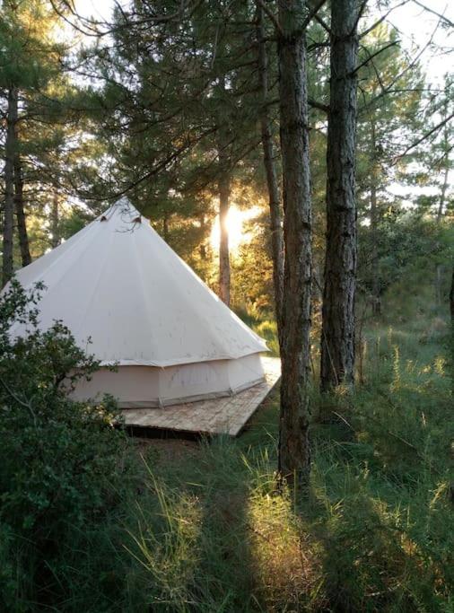 Forest Days Navés Εξωτερικό φωτογραφία