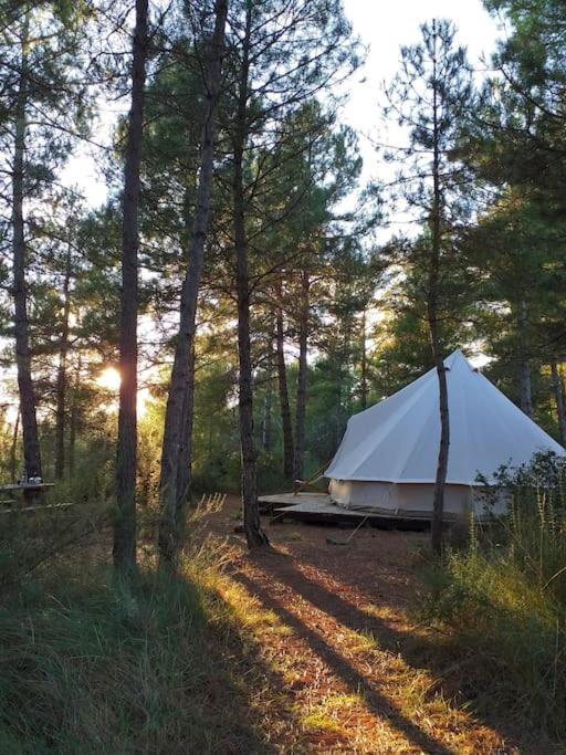 Forest Days Navés Εξωτερικό φωτογραφία