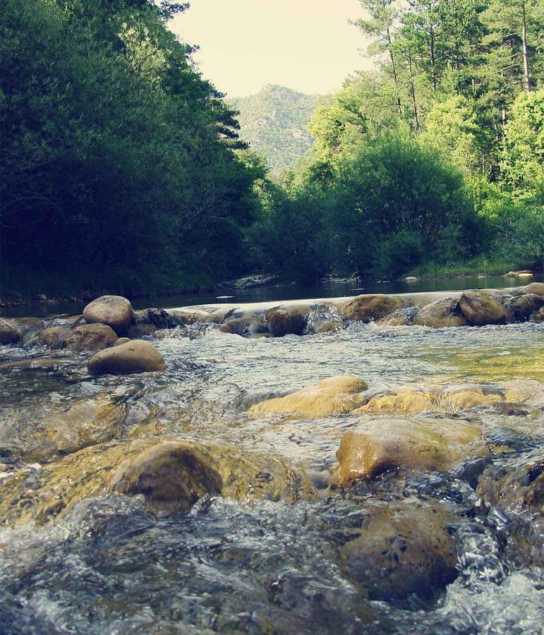 Forest Days Navés Εξωτερικό φωτογραφία